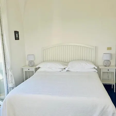 L'agapanto