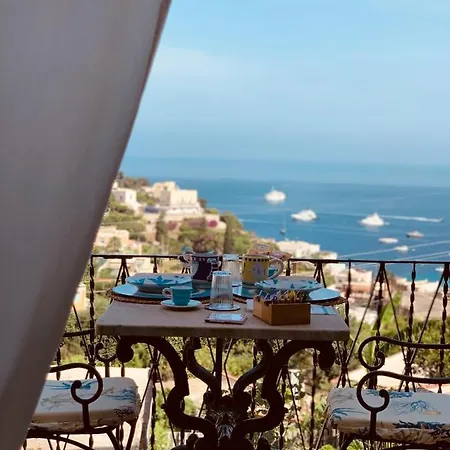 L'agapanto Capri
