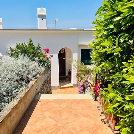 Oda ve Kahvaltı L'agapanto Capri