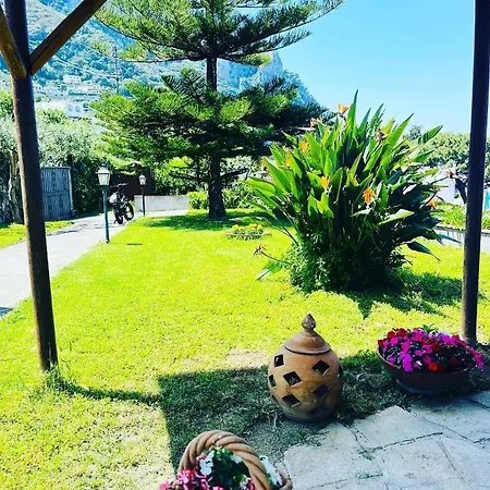 Frühstückspension L'agapanto Capri