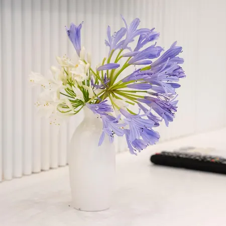 Bed & Breakfast L'agapanto